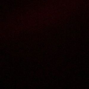 Meet your Posher, Shea